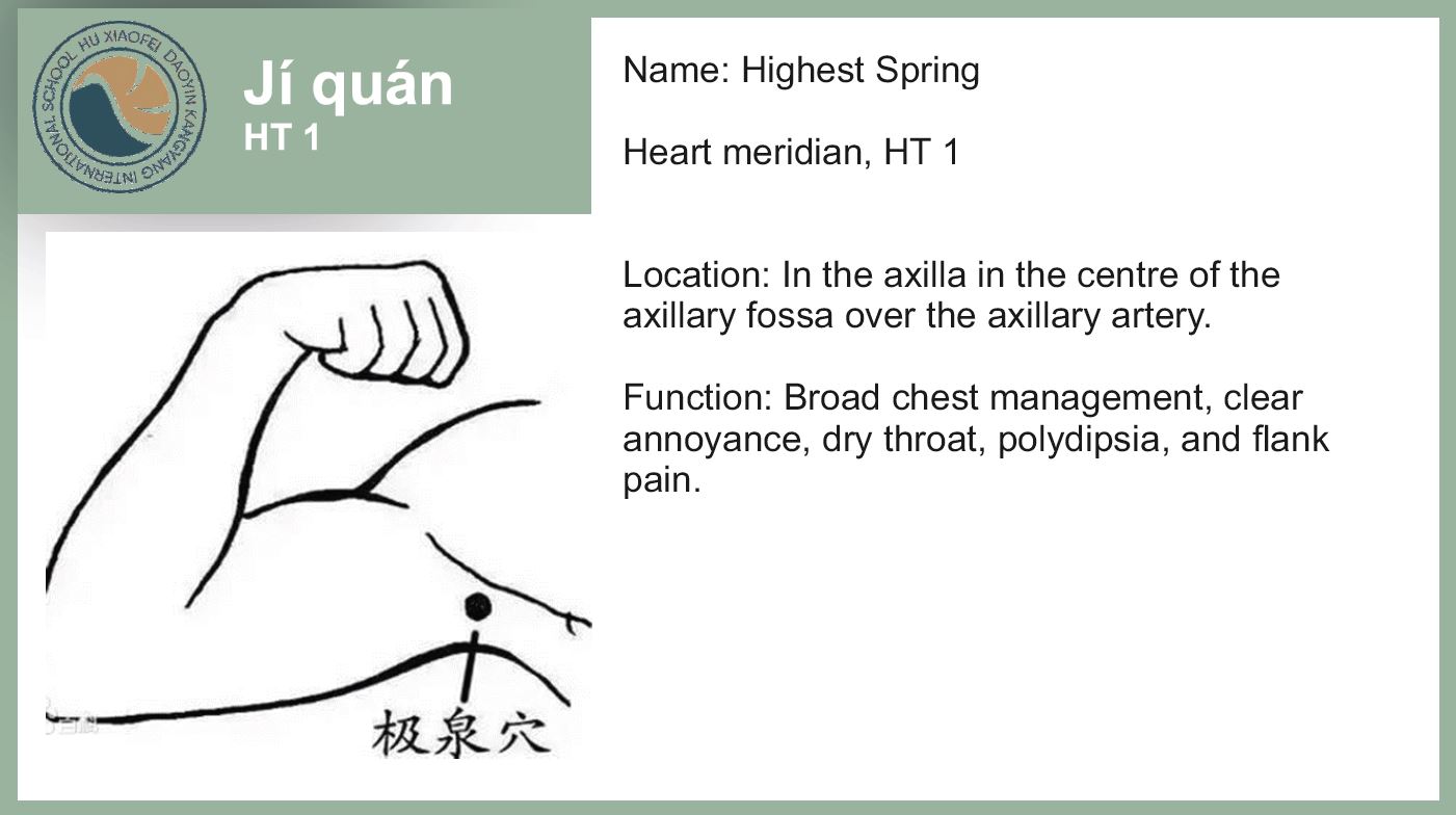 Acupoints of the Liver Pole Standing Exercise - Hu Xiaofei Daoyin ...