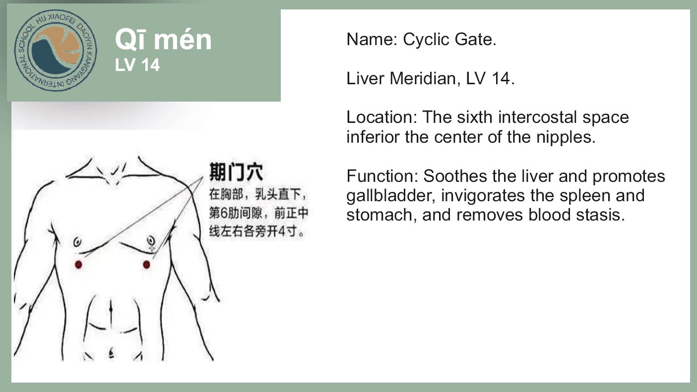 Acupoints Of The Liver Pole Standing Exercise - Hu Xiaofei Daoyin 