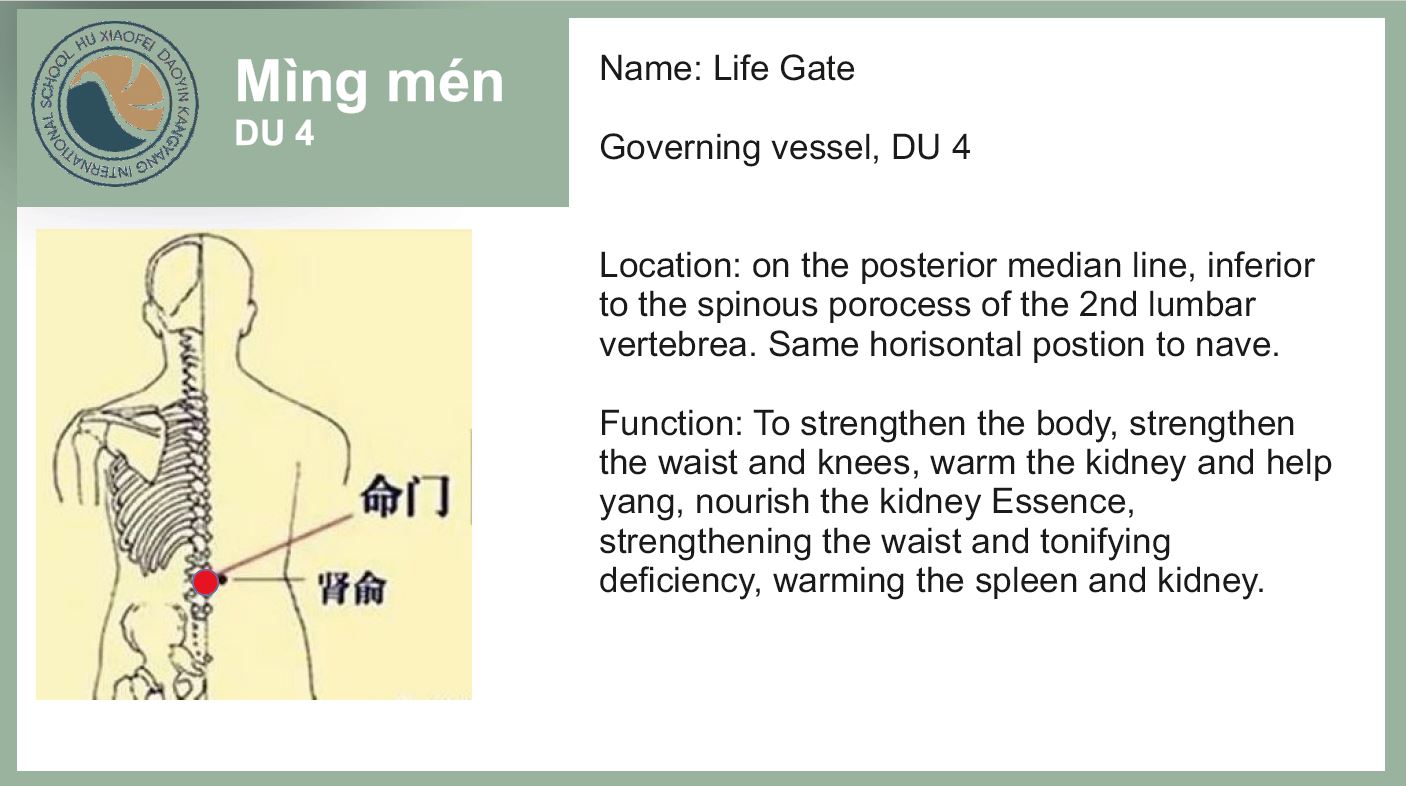 Acupoints of the Liver Pole Standing Exercise - Hu Xiaofei Daoyin ...